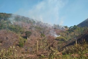 Internauta flagra incêndio em propriedade próximo a Ibirajá.