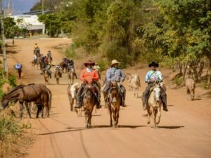 Fé, superação e tradição: Comitiva de Itanhém conclui peregrinação de 700 km e chega a Bom Jesus da Lapa após 15 dias de cavalgada